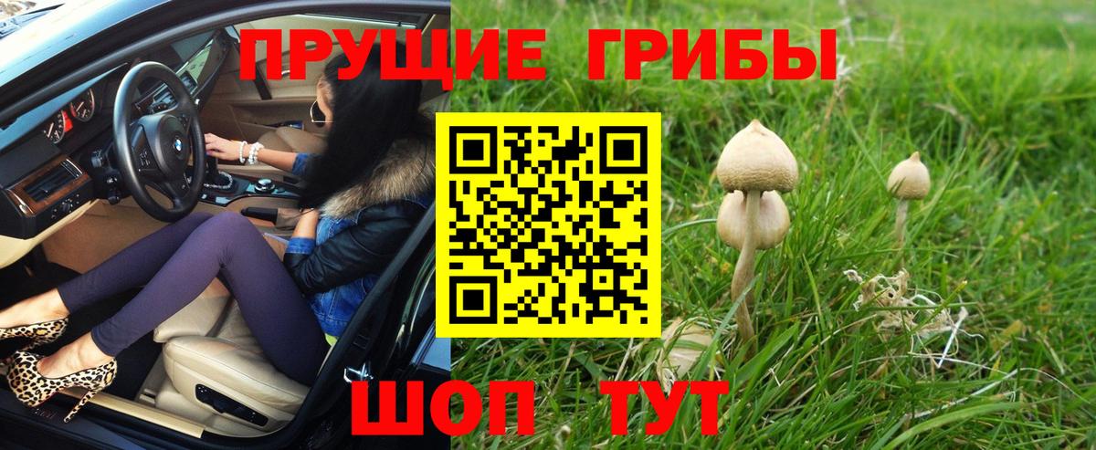 Галлюциногенные грибы ЛСД Борисоглебск