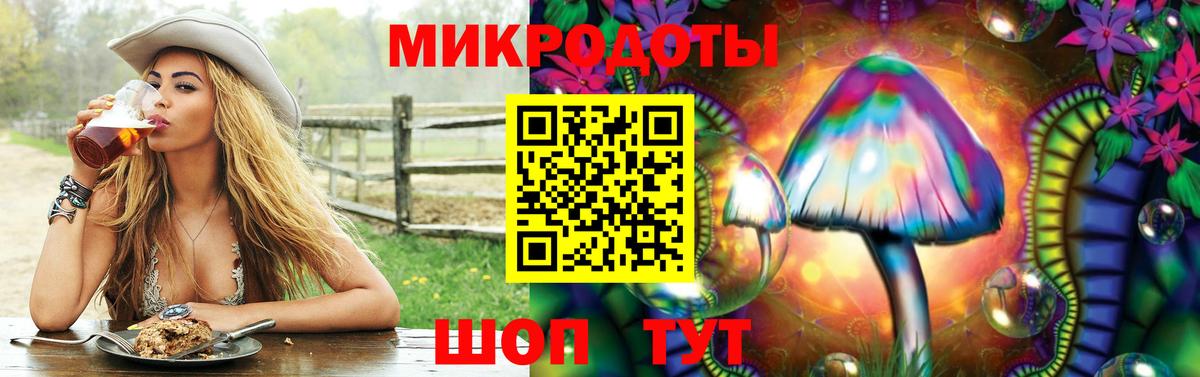 A PVP Борисоглебск