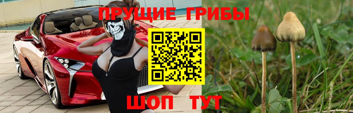 Псилоцибиновые грибы мицелий  Вход с VPN  закладки  Борисоглебск 